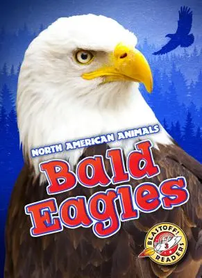 Orly skalné - Bald Eagles