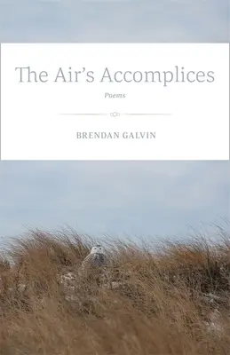 Vzduchoví komplici: Básne - The Air's Accomplices: Poems