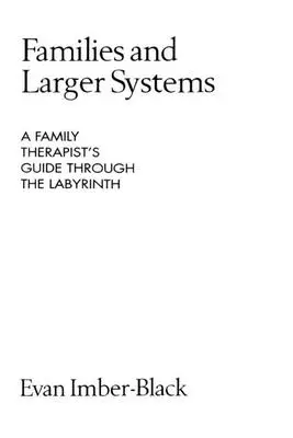 Rodiny a väčšie systémy: Sprievodca rodinného terapeuta labyrintom - Families and Larger Systems: A Family Therapist's Guide Through the Labyrinth