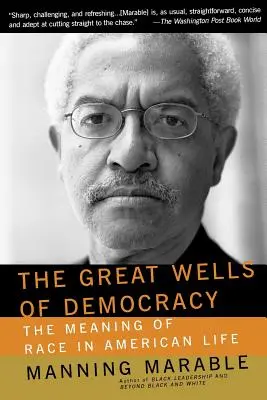 Veľké studne demokracie: Význam rasy v živote Ameriky - The Great Wells of Democracy: The Meaning of Race in American Life