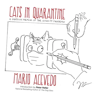 Mačky v karanténe - Cats in Quarantine