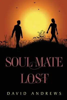 Stratená spriaznená duša - Soul Mate Lost