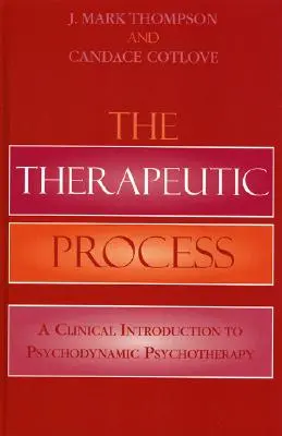 Terapeutický proces: Klinický úvod do psychodynamickej psychoterapie - The Therapeutic Process: A Clinical Introduction to Psychodynamic Psychotherapy