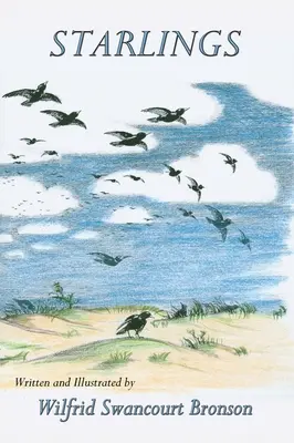 Škorce - Starlings