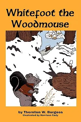 Lesná myška Biela noha - Whitefoot the Woodmouse