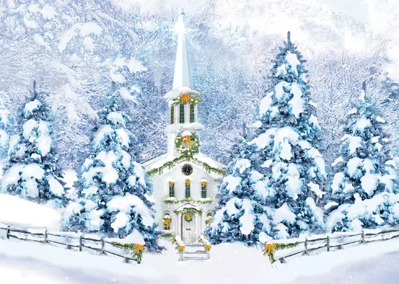 Zimná svätyňa Luxusné prázdninové pohľadnice v krabici - Winter Sanctuary Deluxe Boxed Holiday Cards