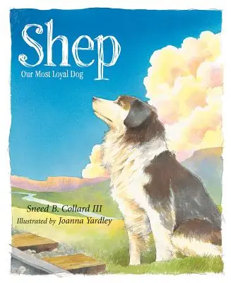 Shep: Náš najvernejší pes - Shep: Our Most Loyal Dog