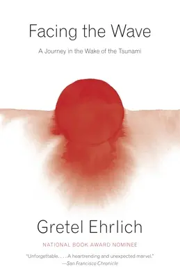 Tvárou v tvár vlne: Cesta po cunami - Facing the Wave: A Journey in the Wake of the Tsunami