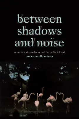 Medzi tieňmi a hlukom: Vnímanie, situovanosť a nedisciplinovanosť - Between Shadows and Noise: Sensation, Situatedness, and the Undisciplined