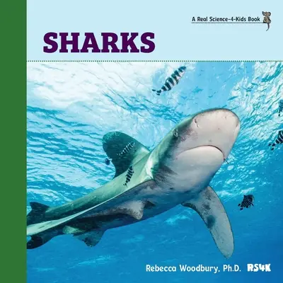 Žraloky - Sharks