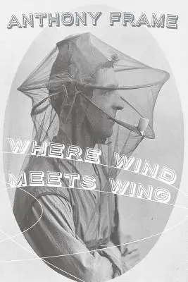 Kde sa stretáva vietor s krídlom - Where Wind Meets Wing