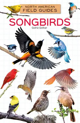 Spevavé vtáky - Songbirds