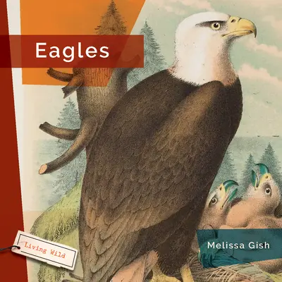 Orly - Eagles