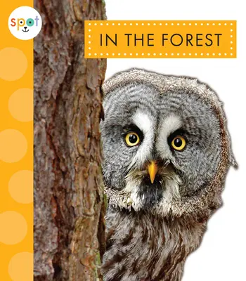 V lese - In the Forest