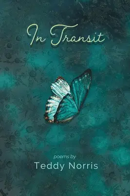 V tranzite - In Transit