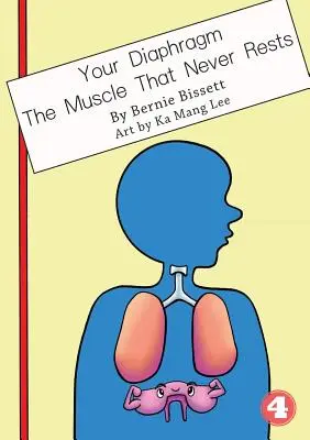 Vaša bránica - sval, ktorý nikdy neodpočíva - Your Diaphragm - The Muscle That Never Rests