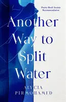 Iný spôsob delenia vody - Another Way to Split Water