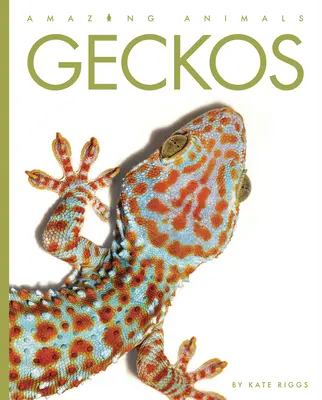 Gekóny - Geckos