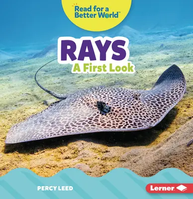 Rejnoci: Prvý pohľad - Rays: A First Look