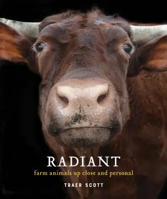 Radiant: (Kniha o fotografiách hospodárskych zvierat) - Radiant: Farm Animals Up Close and Personal (Farm Animal Photography Book)