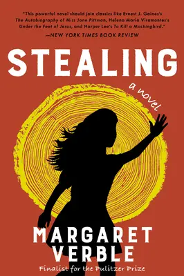 Krádež - Stealing