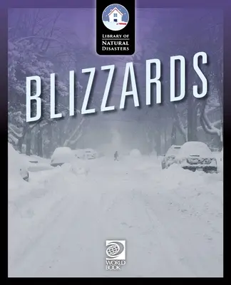 Blizzardy - Blizzards