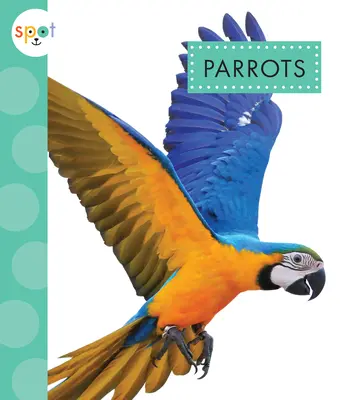 Papagáje - Parrots