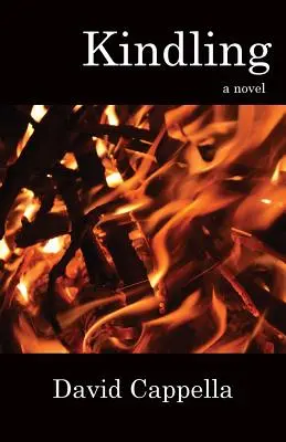 Zapálenie - Kindling