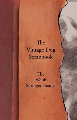 Historický album o psoch - Welsh Springer Spaniel - The Vintage Dog Scrapbook - The Welsh Springer Spaniel