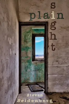 Obyčajný pohľad - Plain Sight