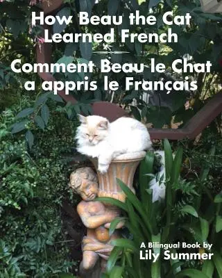 Ako sa mačka Beau naučila francúzsky / Comment Beau le Chat a appris le Franais: Bilingválna kniha - How Beau the Cat Learned French / Comment Beau le Chat a appris le Franais: A Bilingual Book