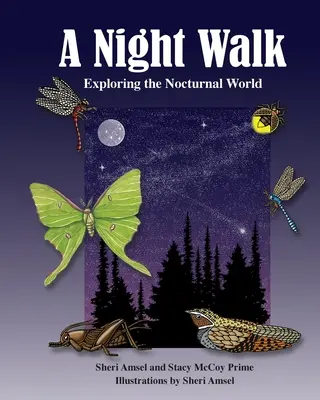 Nočná prechádzka: Vychádzka: Objavovanie nočného sveta - A Night Walk: Exploring the Nocturnal World