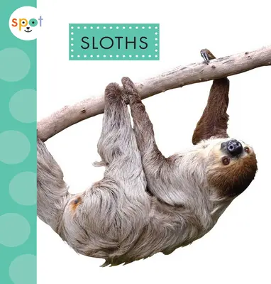Leňochodi - Sloths
