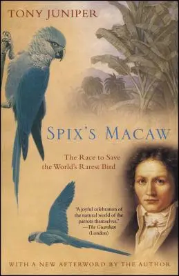 Makak Spixov: Preteky o záchranu najvzácnejšieho vtáka na svete - Spix's Macaw: The Race to Save the World's Rarest Bird