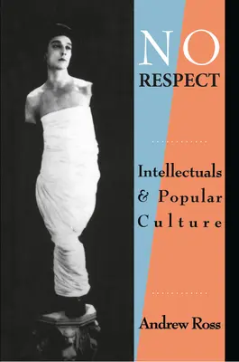 Bez rešpektu: Intelektuáli a populárna kultúra - No Respect: Intellectuals and Popular Culture