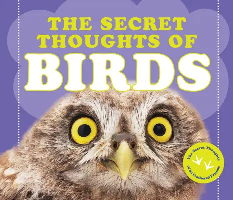 Tajné myšlienky vtákov - The Secret Thoughts of Birds