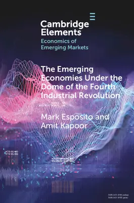 Vznikajúce ekonomiky pod kupolou štvrtej priemyselnej revolúcie - The Emerging Economies Under the Dome of the Fourth Industrial Revolution