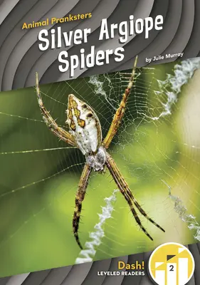 Strieborné pavúky Argiope - Silver Argiope Spiders
