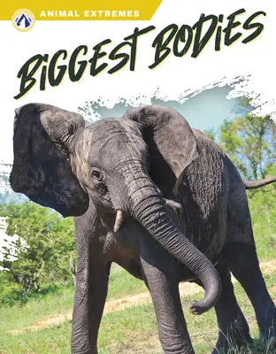 Najväčšie telá - Biggest Bodies