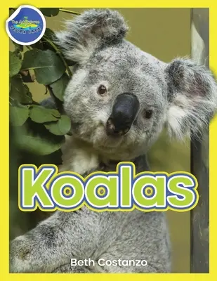 Koala Pracovný zošit aktivít vo veku 4-8 rokov - Koala Activity Workbook ages 4-8