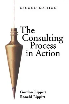 Poradenský proces v akcii - The Consulting Process in Action