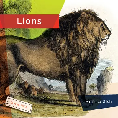 Levy - Lions