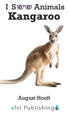 Klokan - Kangaroo