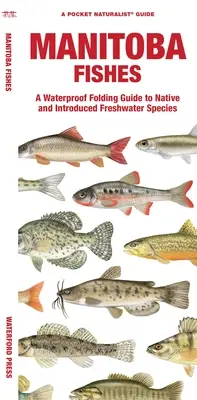 Manitoba Fishes: Vodotesný skladací sprievodca pôvodnými a introdukovanými sladkovodnými druhmi - Manitoba Fishes: A Waterproof Folding Guide to Native and Introduced Freshwater Species