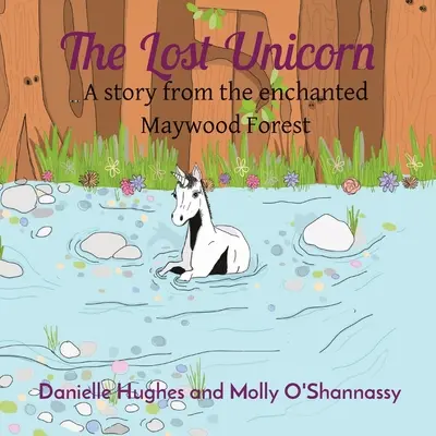 Stratený jednorožec: Príbeh z čarovného Maywoodského lesa - The Lost Unicorn: A story from the enchanted Maywood Forest