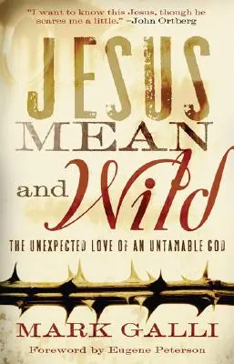 Ježiš sprostý a divoký: Nečakaná láska neskrotného Boha - Jesus Mean and Wild: The Unexpected Love of an Untamable God