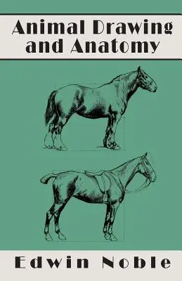 Kreslenie a anatómia zvierat - Animal Drawing and Anatomy