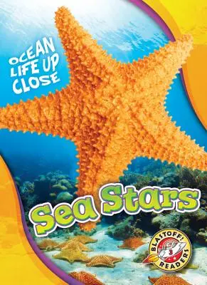 Morské hviezdy - Sea Stars