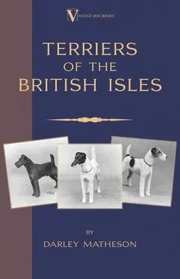 Teriéri - ilustrovaný sprievodca (klasická kniha o plemenách Vintage Dog Books) - Terriers - An Illustrated Guide (a Vintage Dog Books Breed Classic)