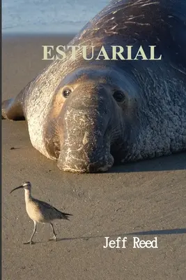 Estuárium - Estuarial